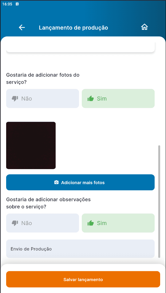 Inserindo fotos e observação